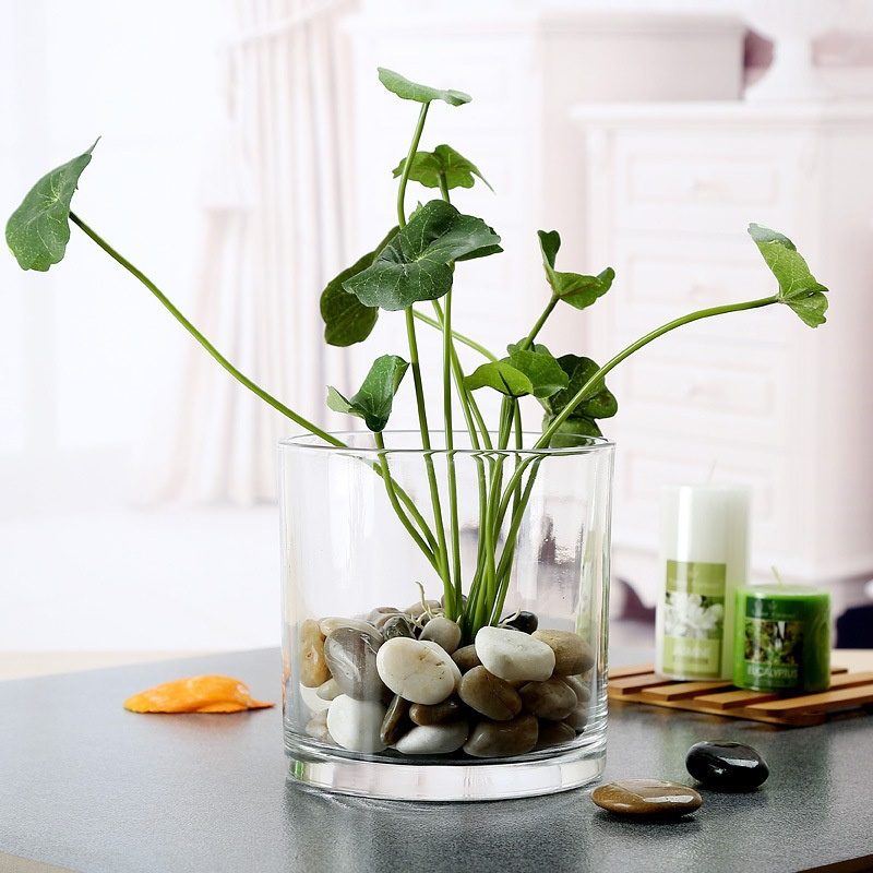 Wholesale Glass Vase HP-025 - Image 4